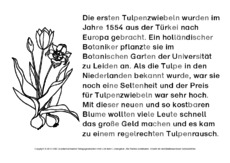 Tulpe-Abschreibtexte-SW 6.pdf